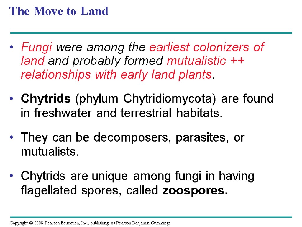 The Move to Land Fungi were among the earliest colonizers of land and probably